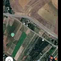 2000متر باغ بادام((معاوضه))|فروش زمین و ملک کلنگی|دینور, |دیوار