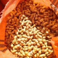 بادام زمینی (پارس‌آباد)