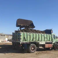 نمایندگی فروش کود گاوی درزاهدان