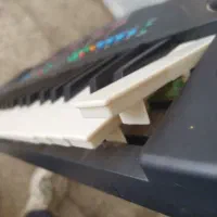 ارگ|پیانو، کیبورد، آکاردئون|گلبهار, شهر جدید گلبهار|دیوار