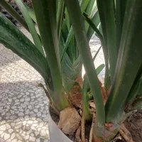 لوازم منزل و|کیف، کفش، کمربند|رشت, استادسرا|دیوار