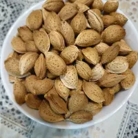 بادام سنگی تازه و نیمه کاغذی ارگانیک|خوردنی و آشامیدنی|جم, |دیوار