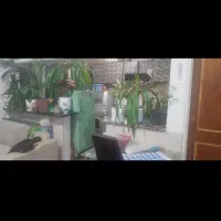 همخونه آقا یک نفر|اجارهٔ آپارتمان|تهران, سبلان (لشگر)|دیوار