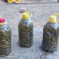 رب وخیارشور محلی هر دوخوشمزه|خوردنی و آشامیدنی|قیدار, |دیوار