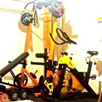 دوچرخه ورزشی با کیفیت و حرفه ای