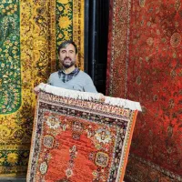 کلکسیون فرش های دستبافت گونه شهر فرش پاسارگاد|فرش|شیراز, فرگاز|دیوار