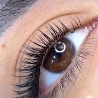 اکستنشن مژه و لیفت حرفه ای با سابقه کار بالا|خدمات آرایشگری و زیبایی|شیراز, معالی‌آباد|دیوار