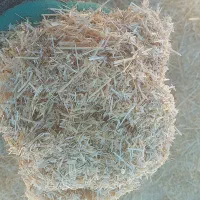 کاه دیم|لوازم جانبی حیوانات|سارال, |دیوار