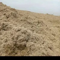 باگاس نیشکر خوزستان|عمده‌فروشی|کارون, |دیوار