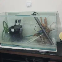 آکواریم سایز بزرگ|ماهی|قروه, |دیوار