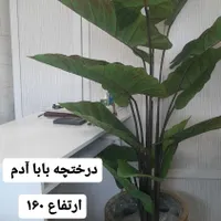 گل و درختچه مصنوعی|گل مصنوعی|رشت, بازار|دیوار