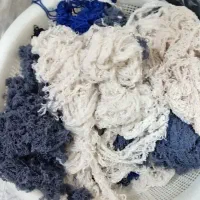 بافتنی تروتمیز