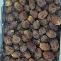 قصب|خوردنی و آشامیدنی|بوشهر, |دیوار