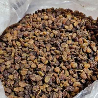 پخش کشمش مرکزی مهرشهر آق تپه|عمدهفروشی|کرج, آق تپه|دیوار