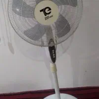 پنکه