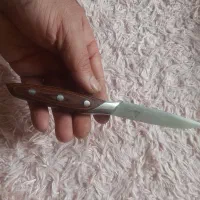 چاقوی موکا اصل|ظروف پختوپز|تهران, شهرک ولیعصر جنوبی|دیوار