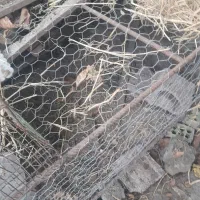 قفس مرغ  وجوجه.. عرض ۱/۵طول  ۲متر