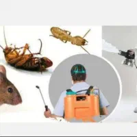 سمپاشی موریانه زدایی کاملا تضمینی هوادار همشهریان