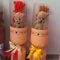 بوکت های خرسی|اسباب‌‌بازی|تبریز, |دیوار