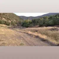 فروش زمین کشاورزی جاده جدید سنندج مریوان|فروش دفتر صنعتی، کشاورزی، تجاری|مریوان, |دیوار