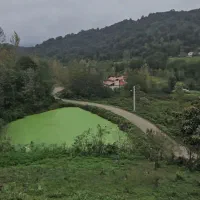 زمین جنگلی کوهستانی لاهیجان با ویو بینظیر|فروش زمین و ملک کلنگی|لاهیجان, بوجایه|دیوار