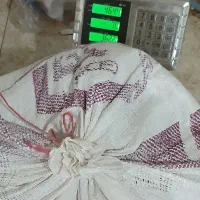 دانه پارس خریدارم