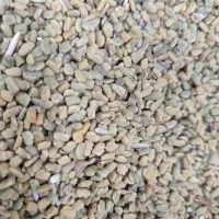 تخم شنبلیله بوجاری و اصلاح شده