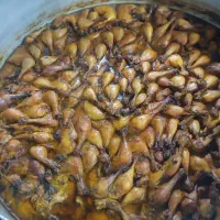 نیروی خانم برای اشپزخونه