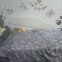 تخت خواب سالم