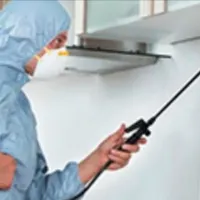 سمپاشی ساس سوسک تمامی حشرات تضمینی سم پاشی درخت