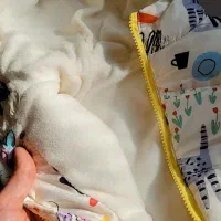 لباس کودک|کفش و لباس بچه|رشت, دباغیان|دیوار