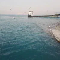 تور جزیره قشم|تور و چارتر|قشم, |دیوار