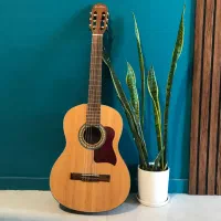 آموزش تخصصی گیتار و ویولن