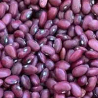 لوبیا قرمز