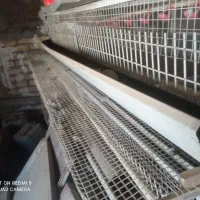 فروش قفس بلدرچین و دستگاه جوجه کشی تمام اتومات