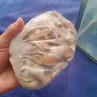 اکواریم ماهی و پمپ|ماهی|بیرجند, |دیوار