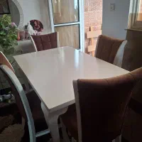 میزناهارخوری