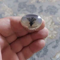 ۲تا انگشتر شجر قائنات