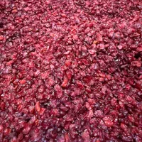 زرشک پوفکی تازه همسالی هست