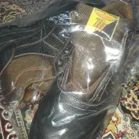 کفش کار|کیف، کفش، کمربند|میبد, |دیوار