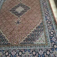 فرش دستباف ریز ماهی ۶ متری|فرش|اردبیل, |دیوار