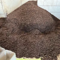 کشمش تاک|خوردنی و آشامیدنی|کاشمر, |دیوار