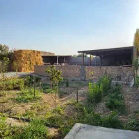 فروش زمین از ۲۰۰ متر تا ۵۰۰۰متر سند دار قلعه نو