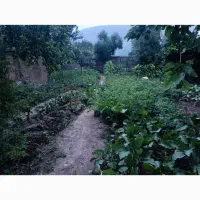 زمین مسکونی داخل شهر|فروش زمین و ملک کلنگی|رامیان, |دیوار