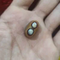 نگین انگشتر دو کوهانه زیبا