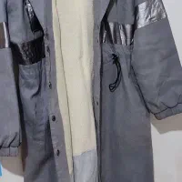 پالتو