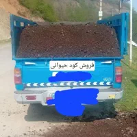 کود حیوانی