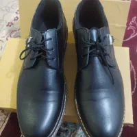 کفش مجلسی مردانه نوو|کیف، کفش، کمربند|ایلام, |دیوار