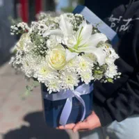 باکس گل طبیعی|گل و گیاه طبیعی|رشت, جانبازان|دیوار