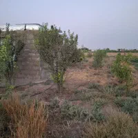 فروش باغچه ۱۰۰۰متری قابل تهاتر|فروش زمین و ملک کلنگی|نظرآباد, خسروآباد|دیوار
